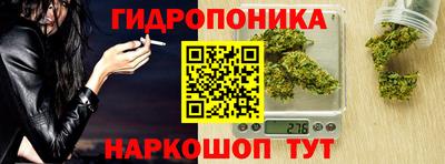 прущие грибы Кунгур
