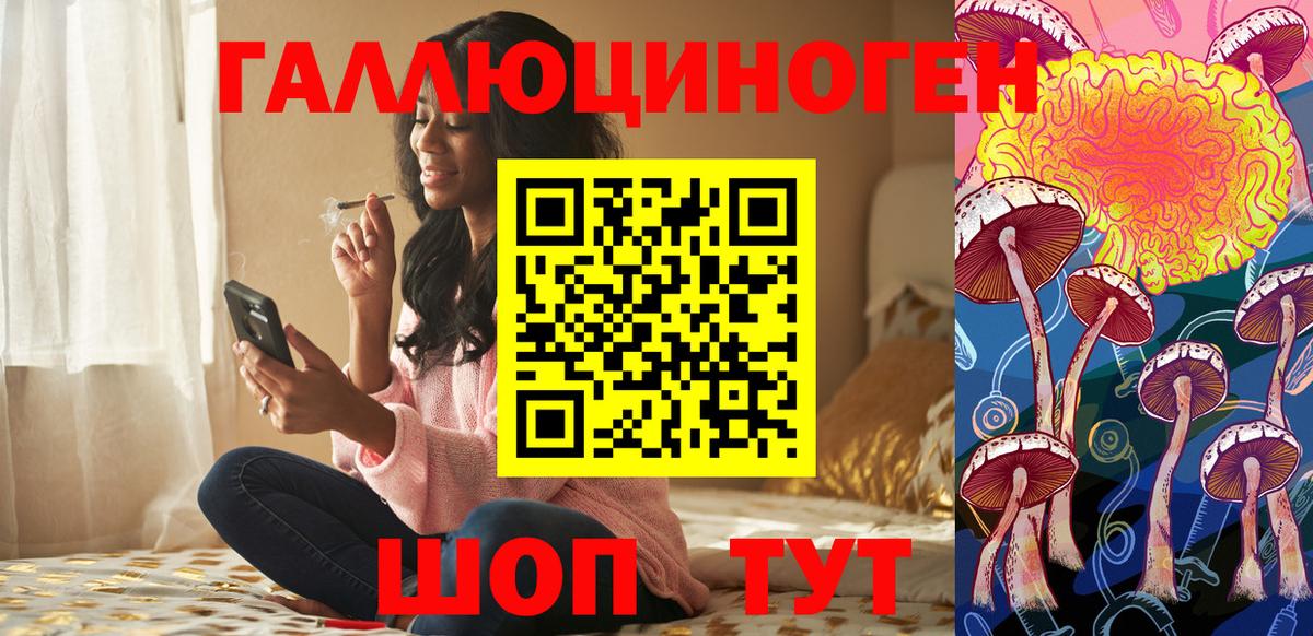 Галлюциногенные грибы прущие грибы Зима