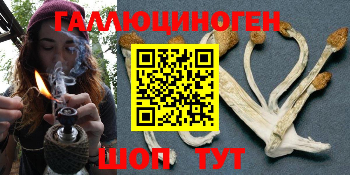 Зима  Галлюциногенные грибы мицелий  Псилоцибиновые грибы Psilocybine cubensis  Вход с VPN 