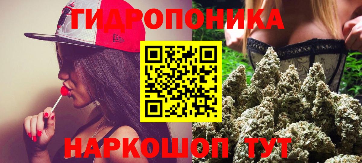 Шишки марихуана план Зима